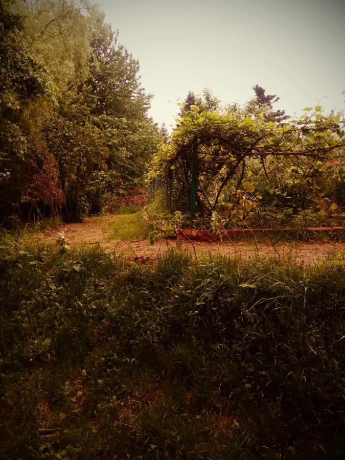 Agroturystyka U Babci Czchow Dış mekan fotoğraf