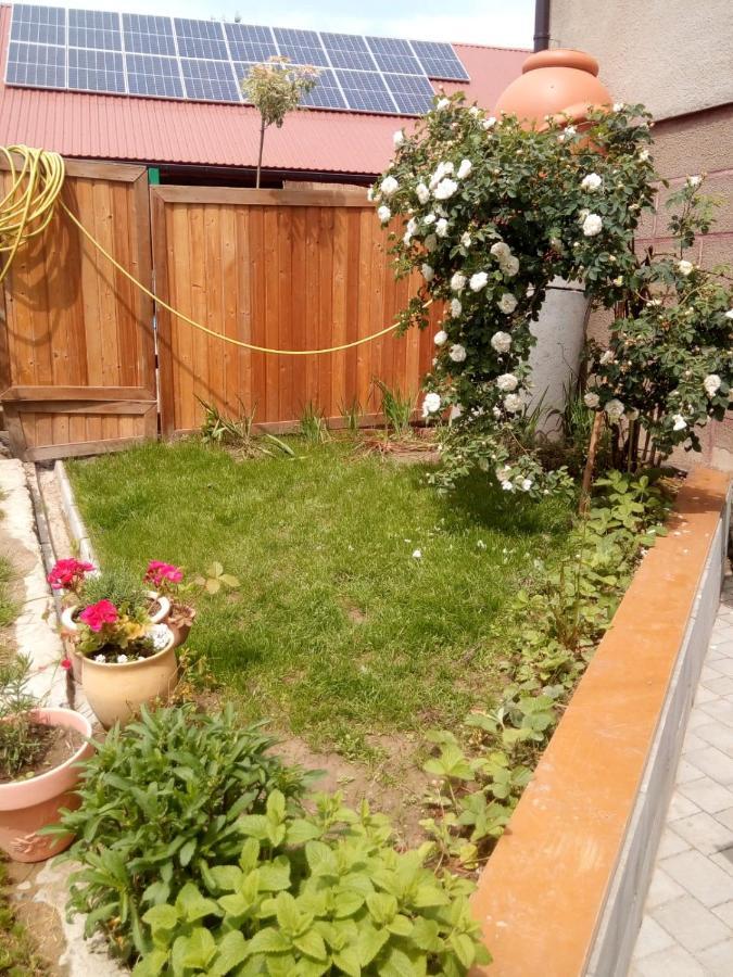 Agroturystyka U Babci Czchow Dış mekan fotoğraf