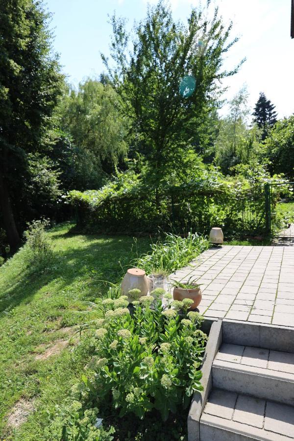 Agroturystyka U Babci Czchow Dış mekan fotoğraf