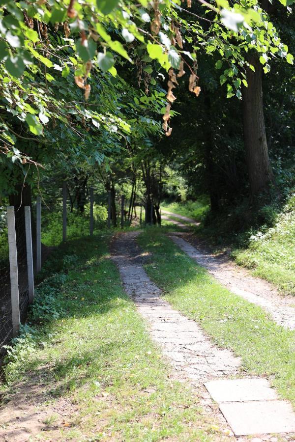 Agroturystyka U Babci Czchow Dış mekan fotoğraf