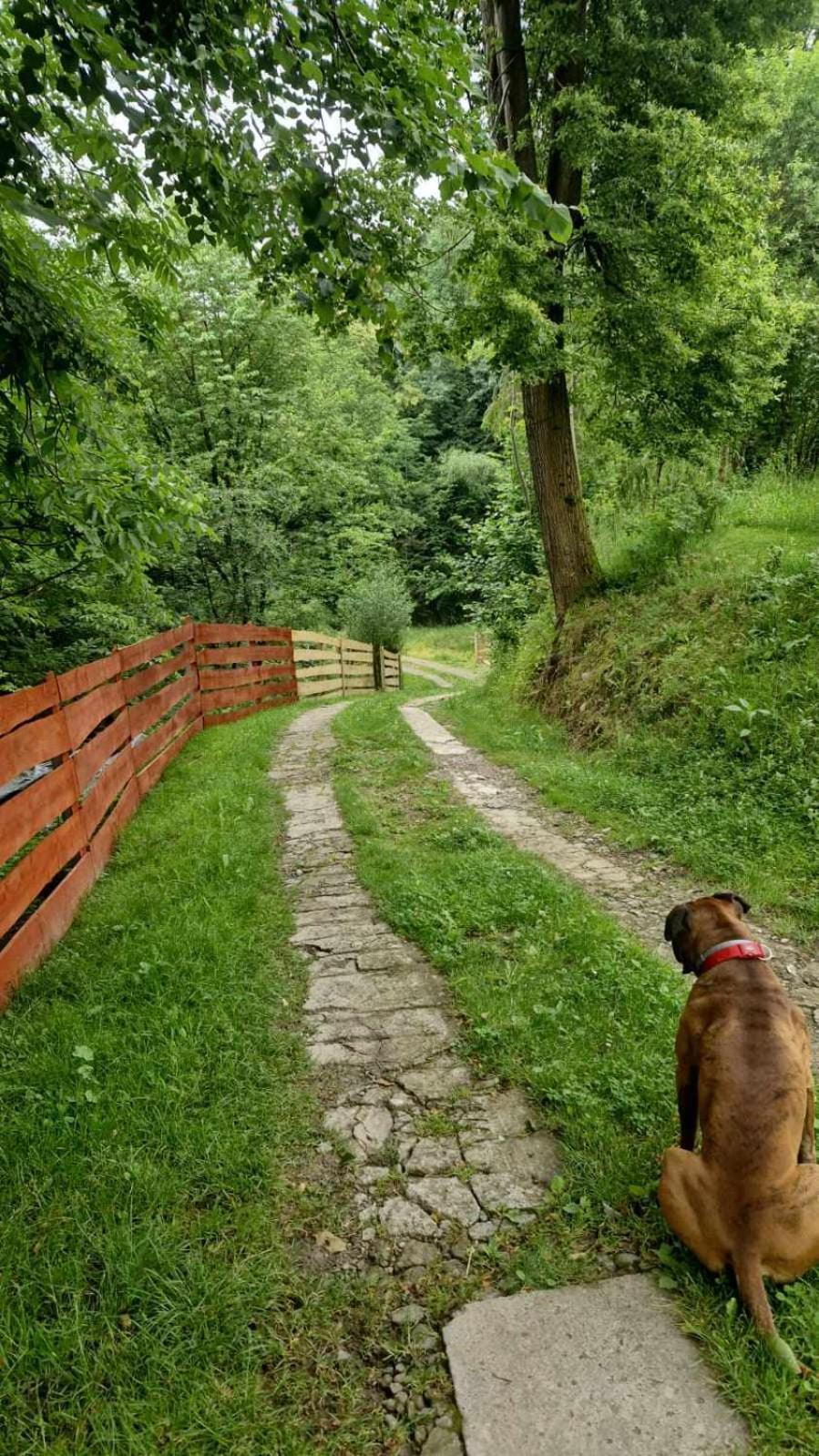 Agroturystyka U Babci Czchow Dış mekan fotoğraf