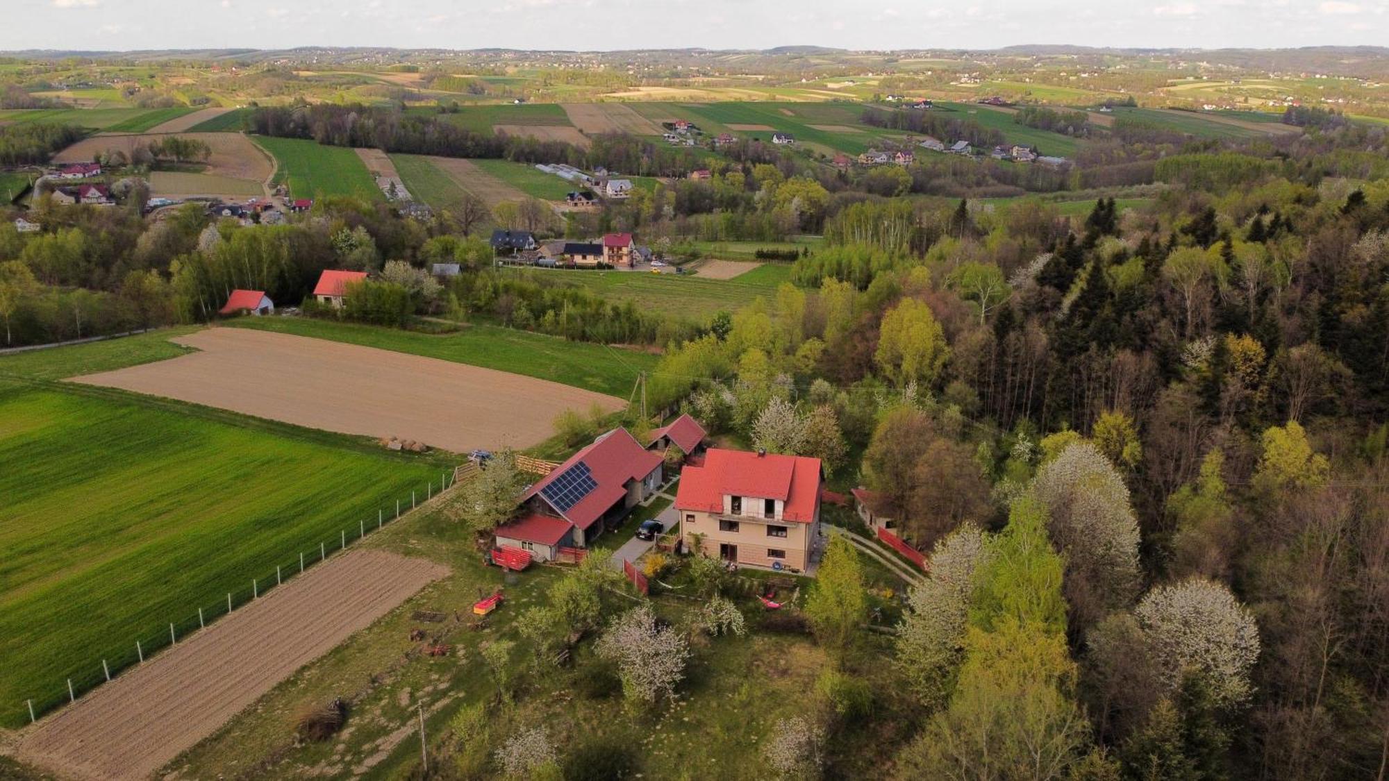 Agroturystyka U Babci Czchow Dış mekan fotoğraf