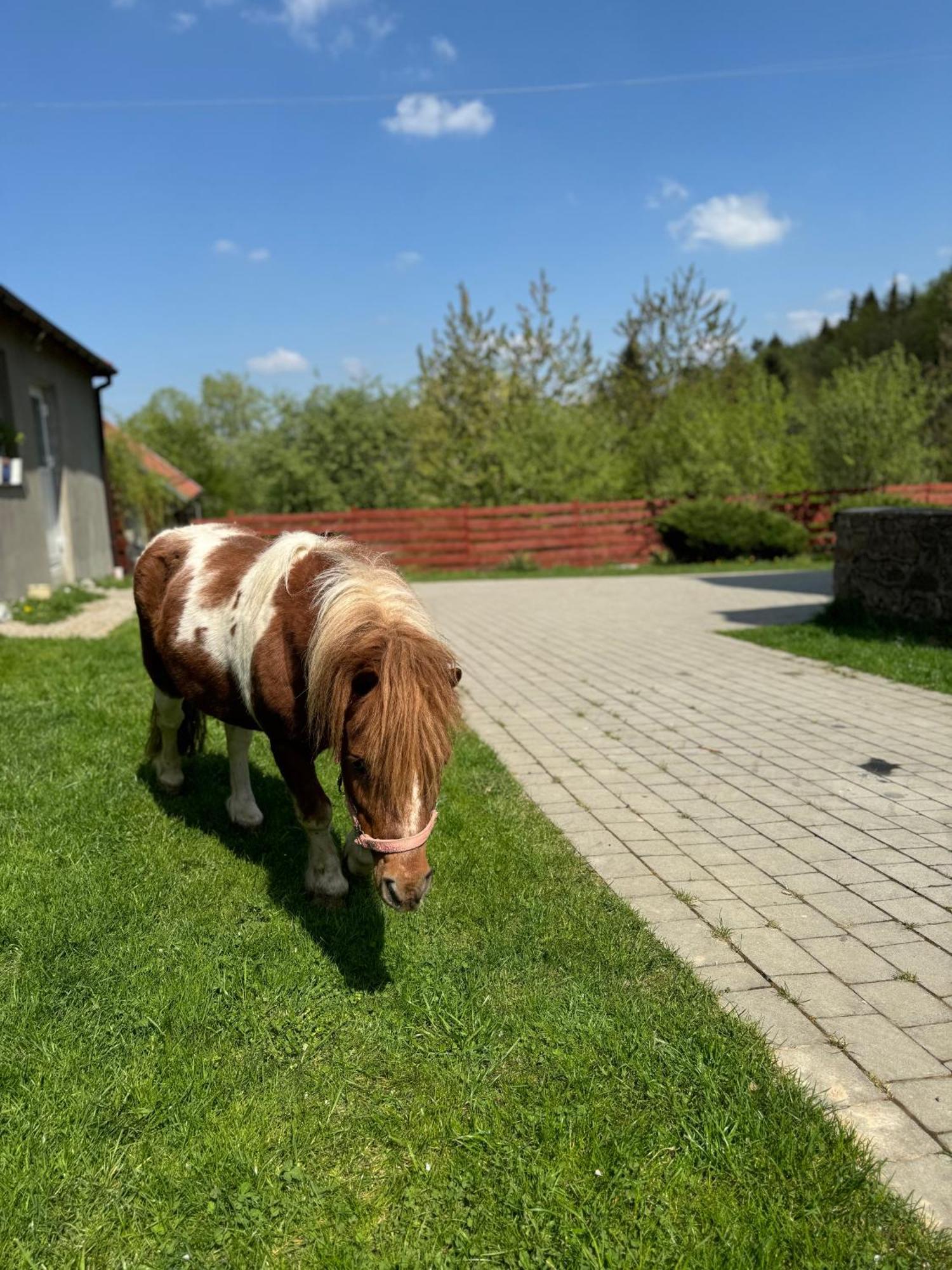 Agroturystyka U Babci Czchow Dış mekan fotoğraf